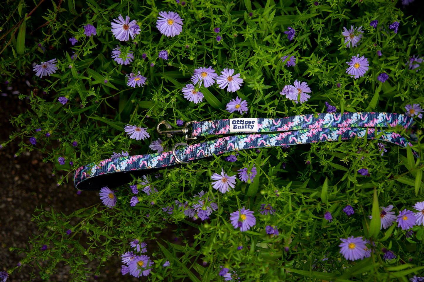 Leine Humming Jungle