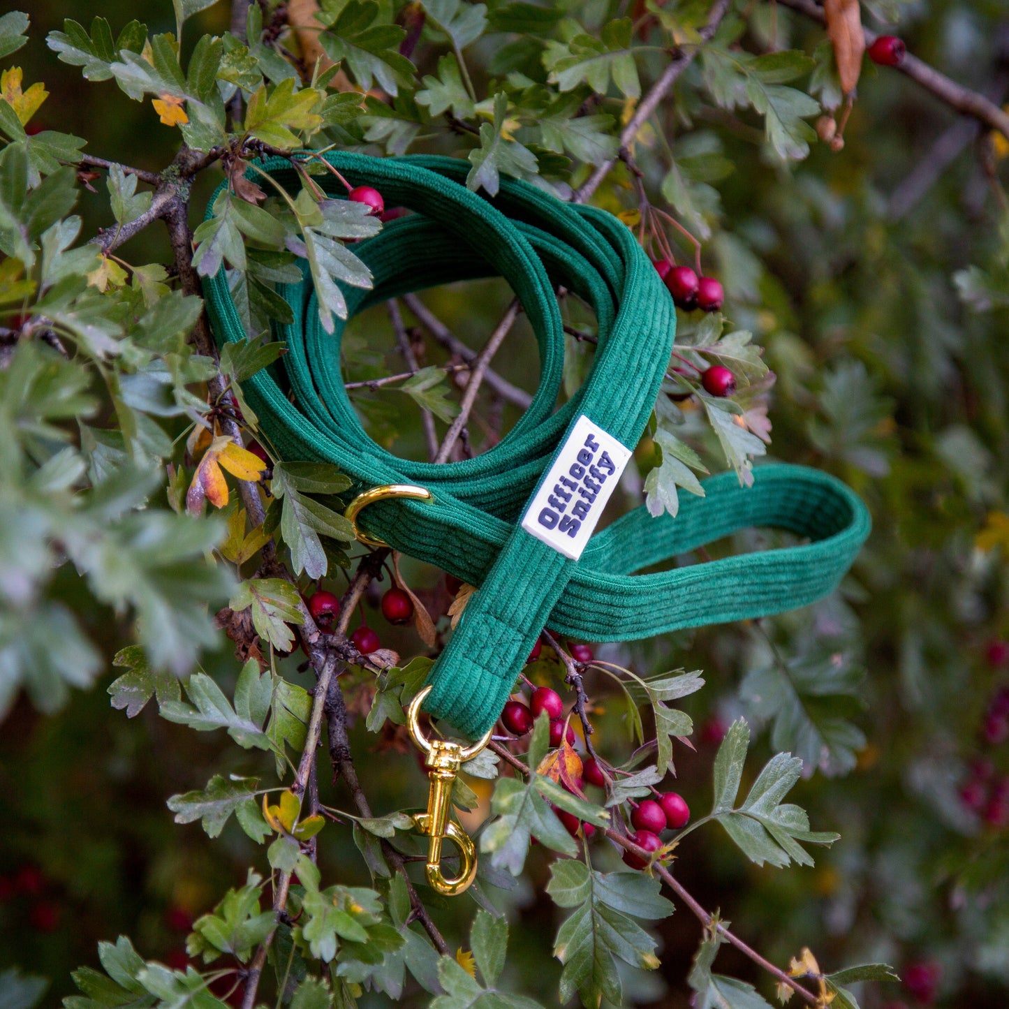 Leine Cord grün