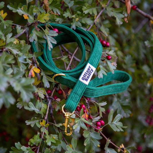 Leine Cord grün