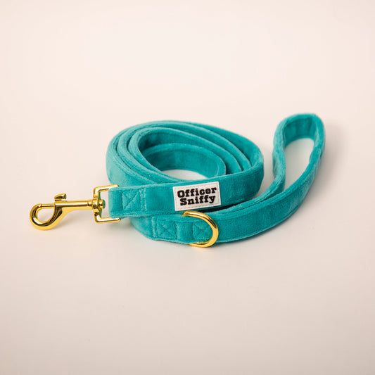 Hundeleine Samt türkis 1,5m Länge