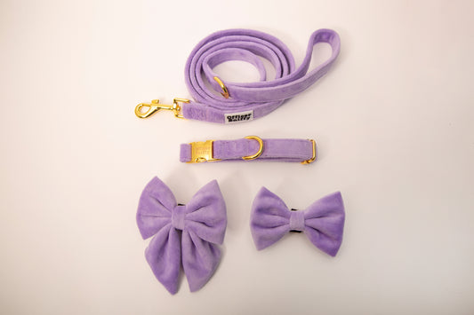 Hundeleine Samt flieder lila 1,5m Länge