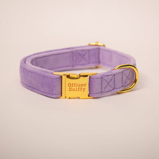 Hundehalsband Samt flieder lila