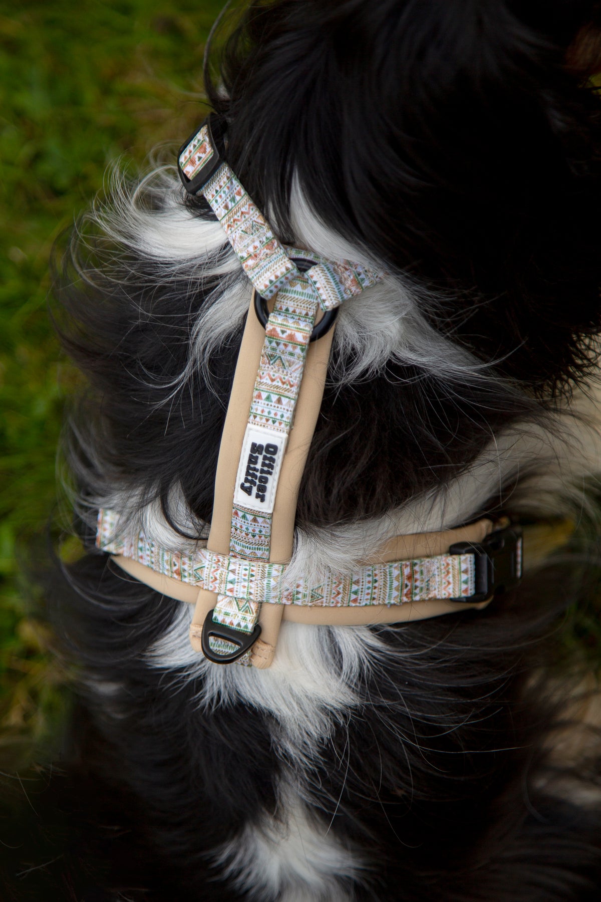 Y-Hundegeschirr / Brustgeschirr beige sand gemustert boho