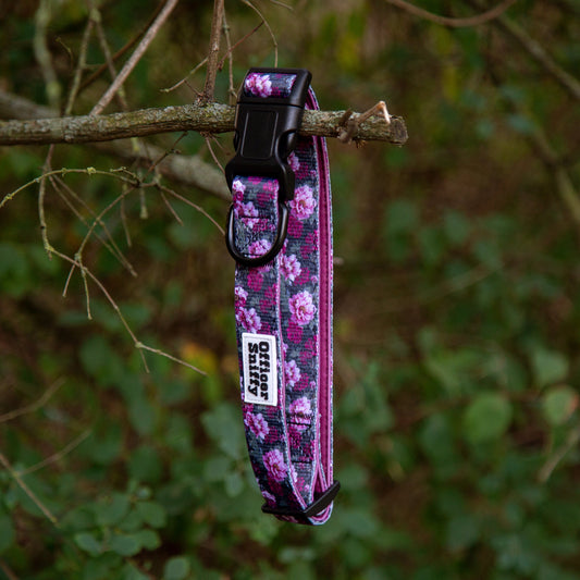 Hundehalsband lila, rosa, pink Blumen gepolstert