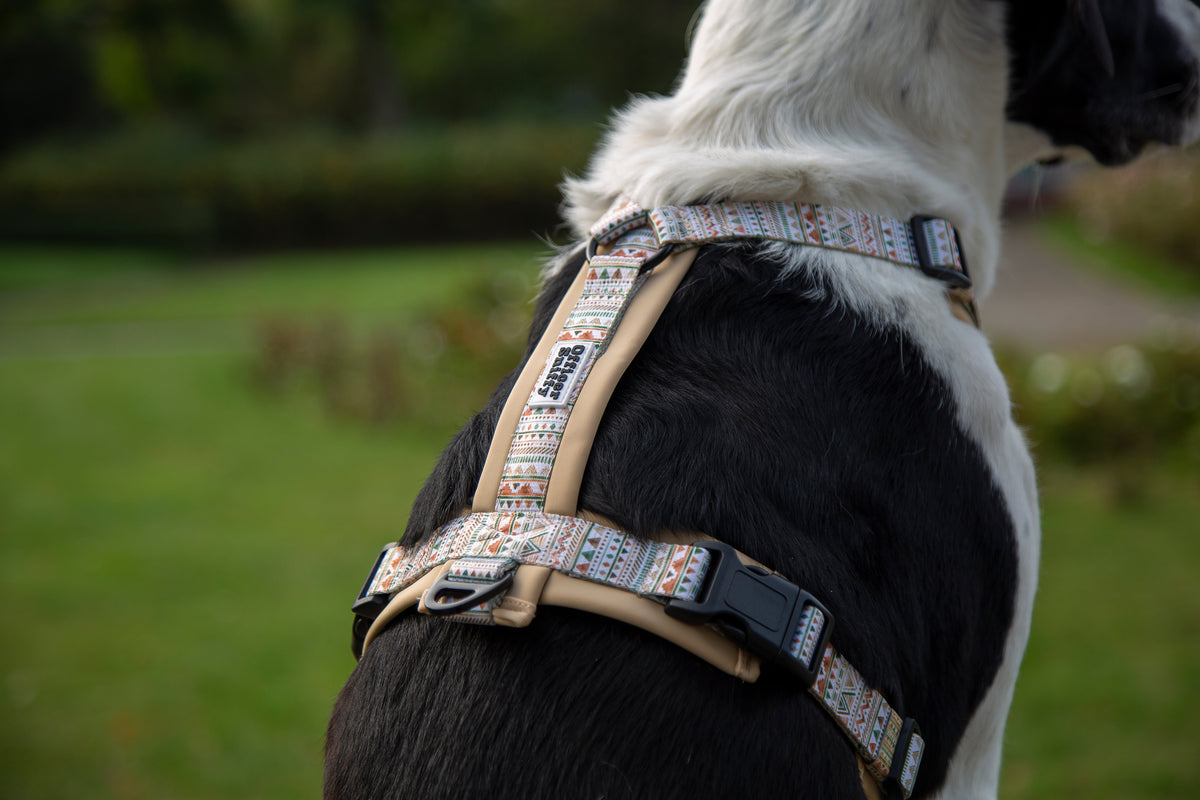 Y-Hundegeschirr / Brustgeschirr beige sand gemustert boho
