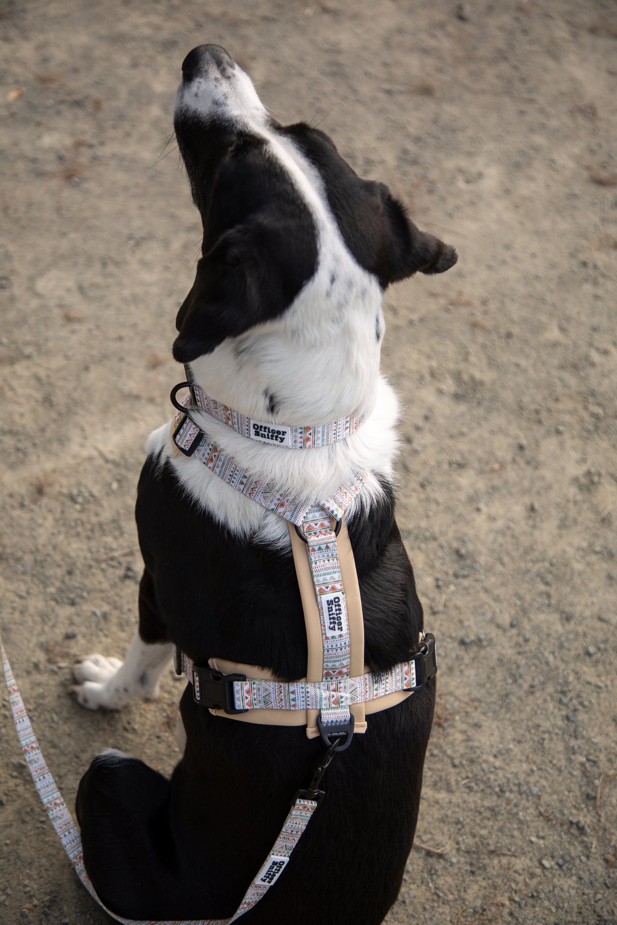 Y-Hundegeschirr / Brustgeschirr beige sand gemustert boho