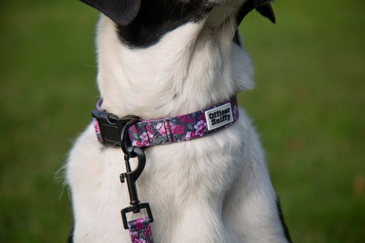 Hundehalsband lila, rosa, pink Blumen gepolstert