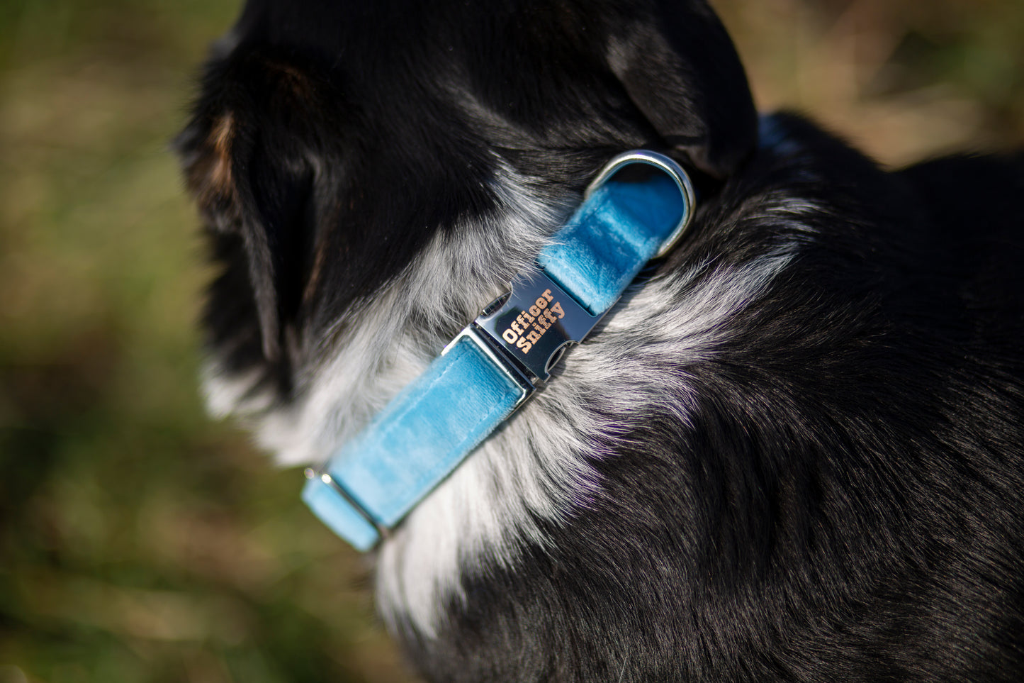 Halsband Samt hellblau