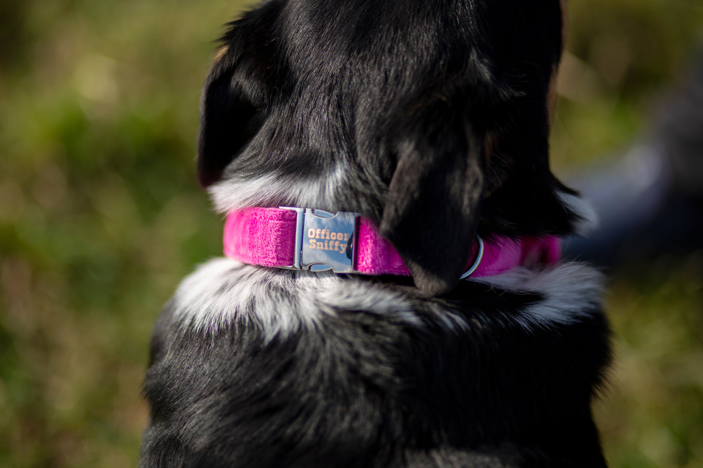 Halsband Samt pink