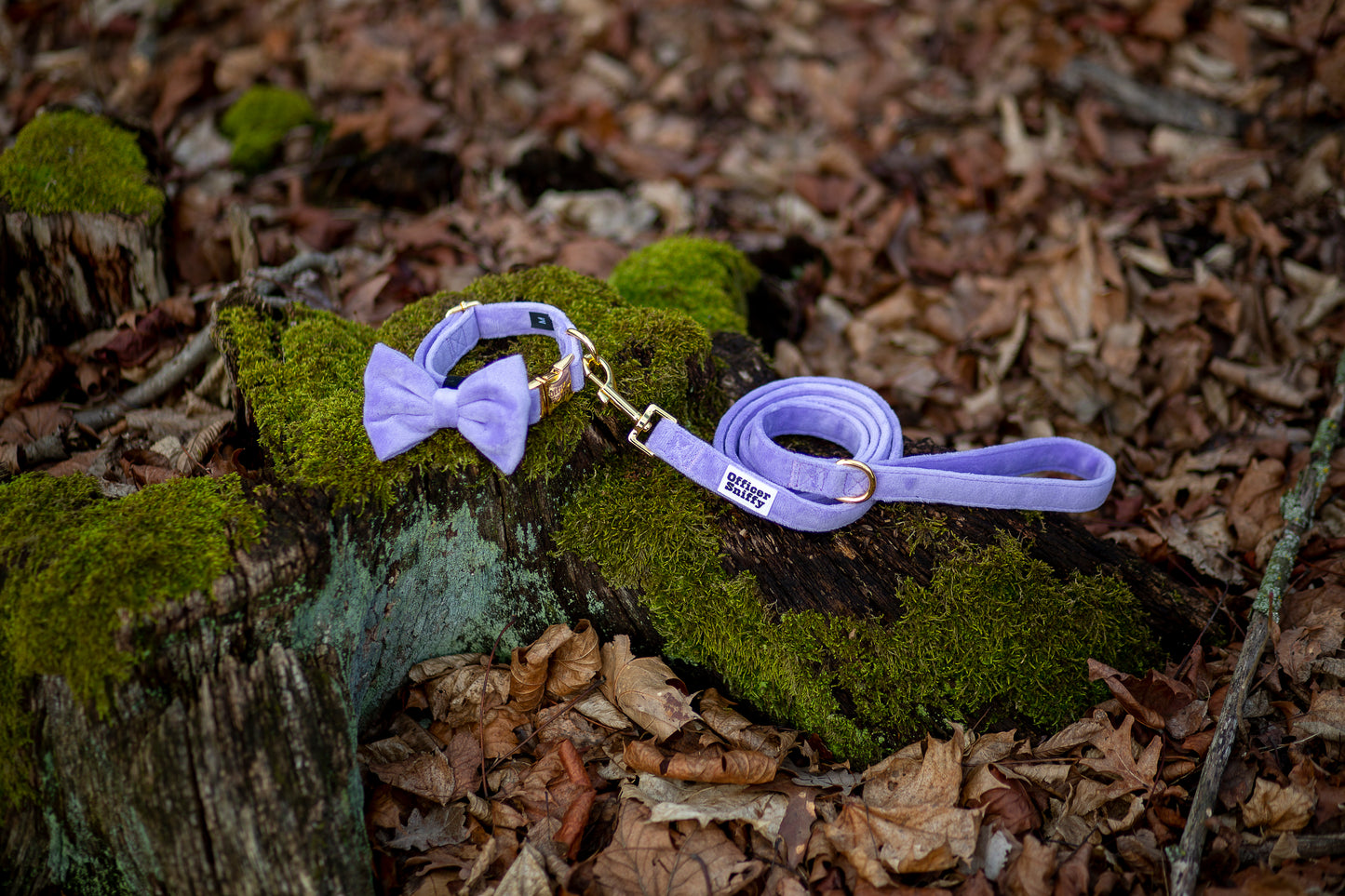 Hundehalsband Samt flieder lila