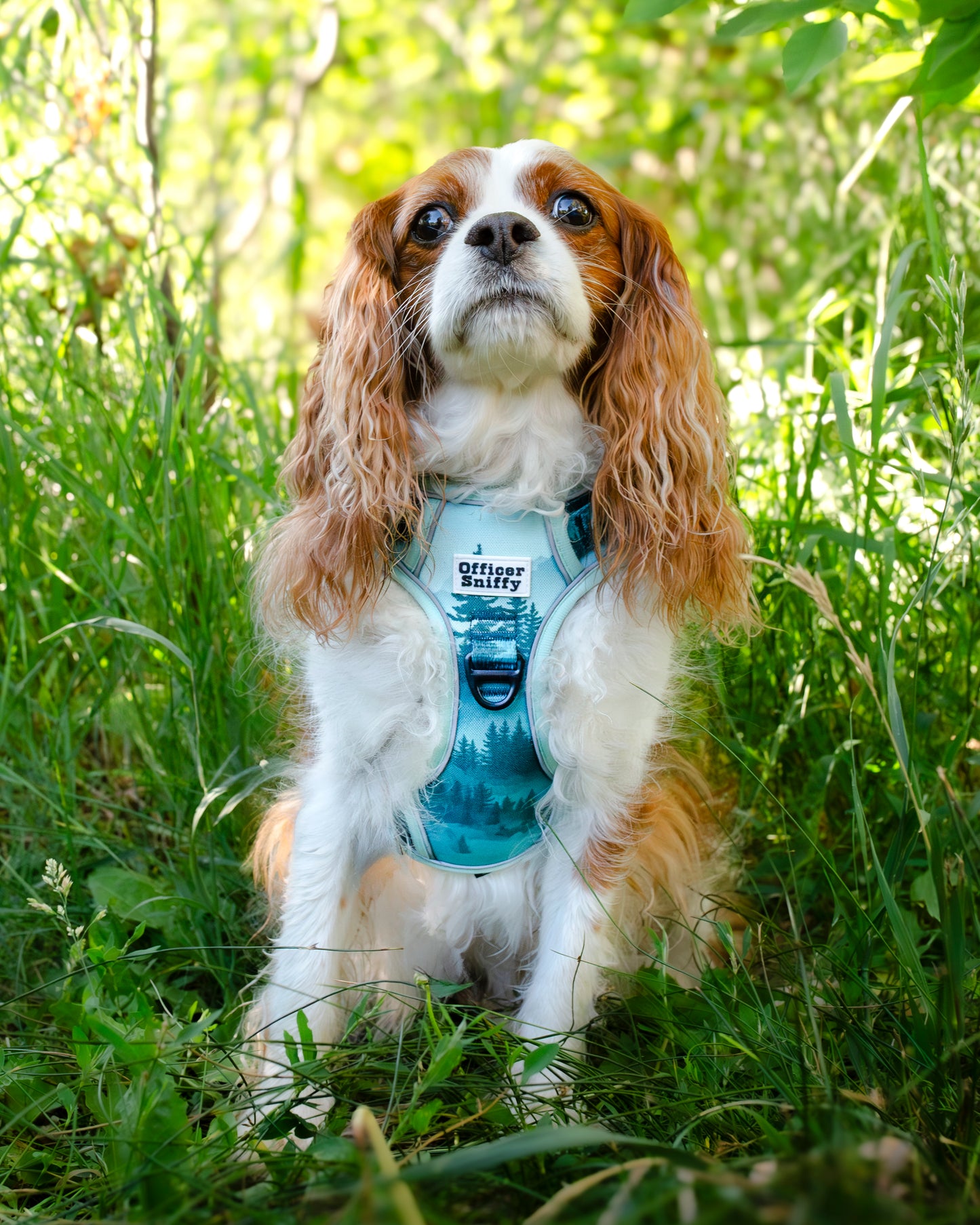 Hundegeschirr Wald Berge grün Brustgeschirr mit Griff