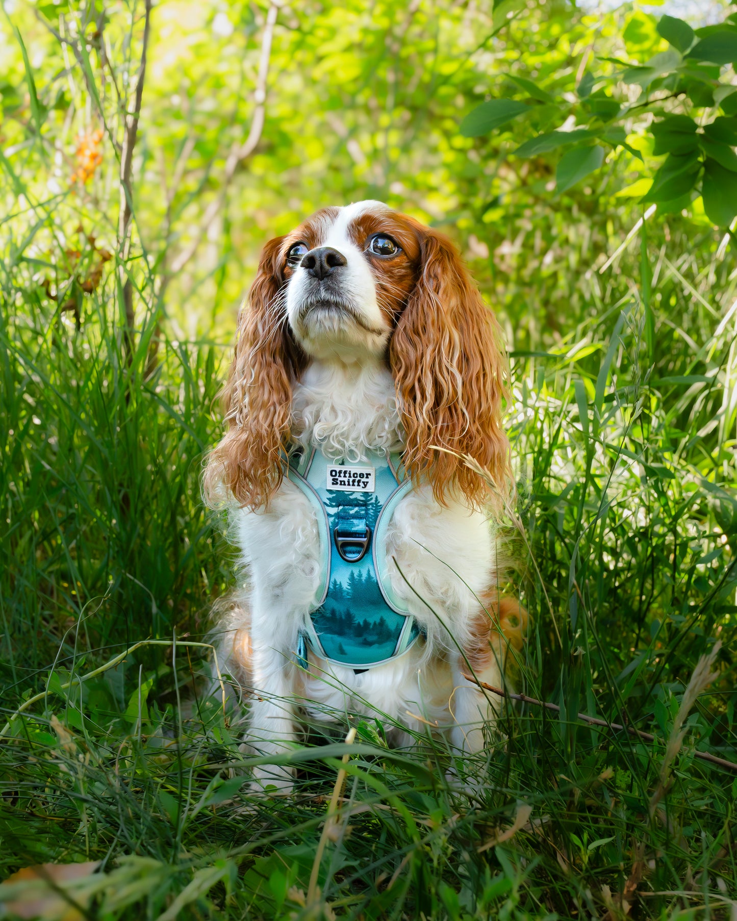 Hundegeschirr Wald Berge grün Brustgeschirr mit Griff
